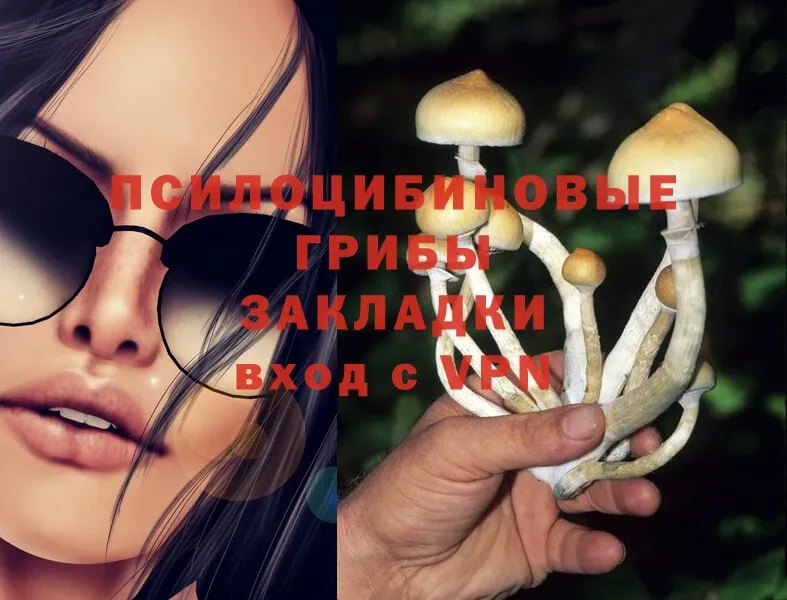 Псилоцибиновые грибы Magic Shrooms  купить наркотики цена  Апшеронск 